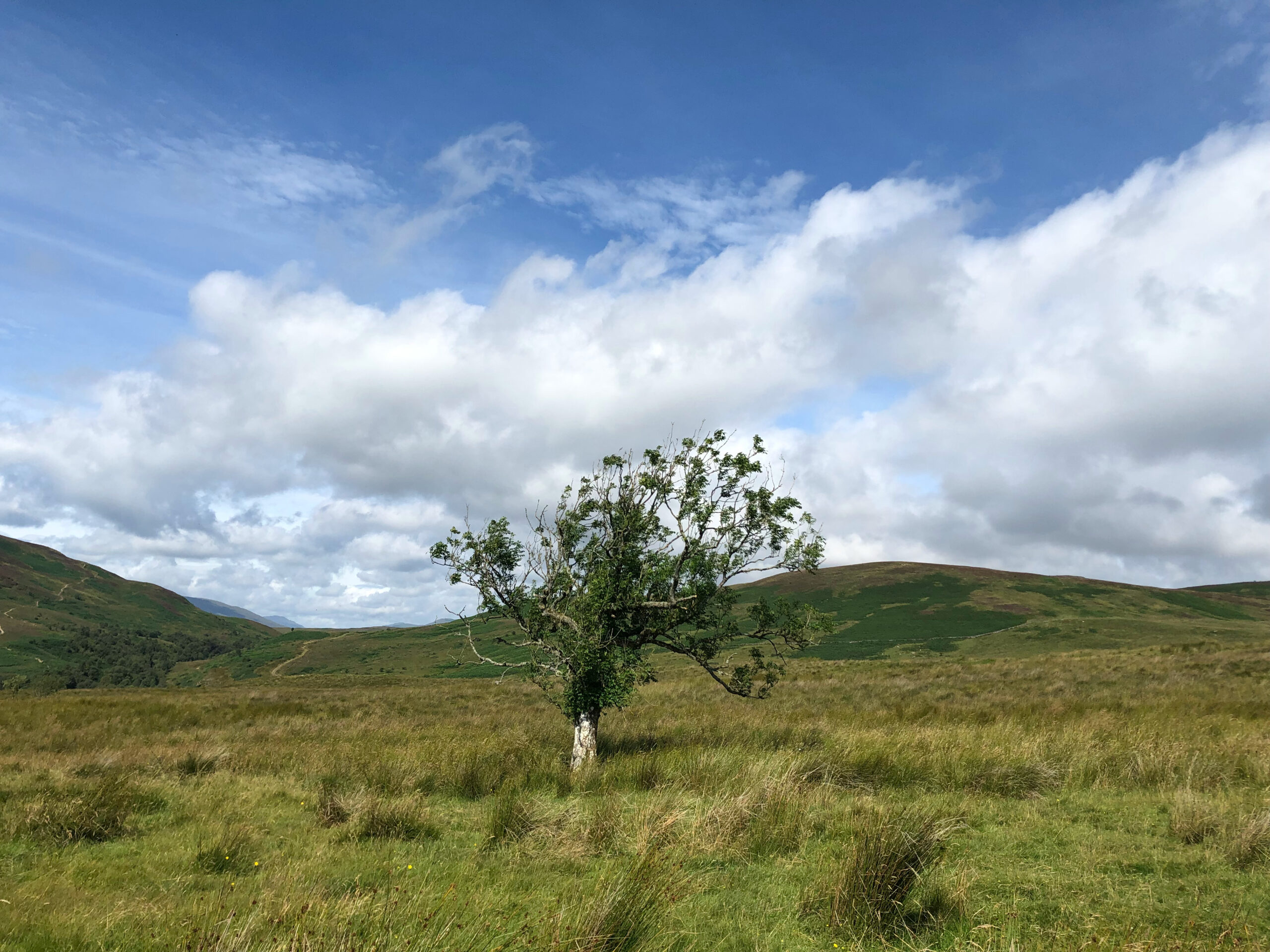 2023 蘇格蘭徒步旅行 – West Highland Way走一次就上癮